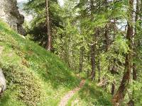 Youri - Ecrins 2005 385